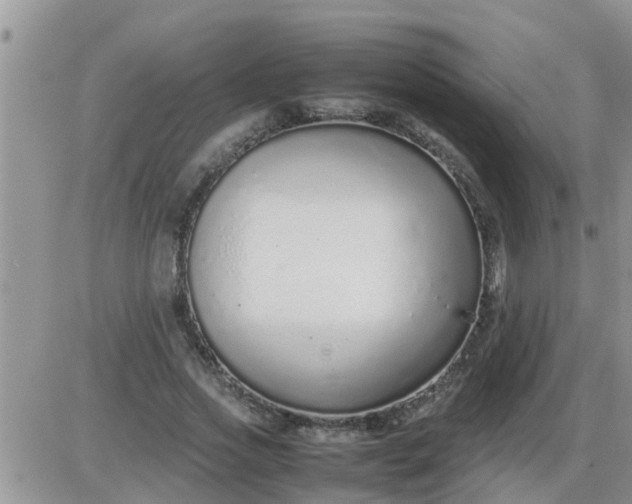 X0000085310733200703231923