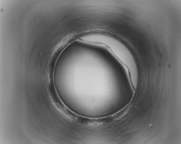 X0000085310734200703231923