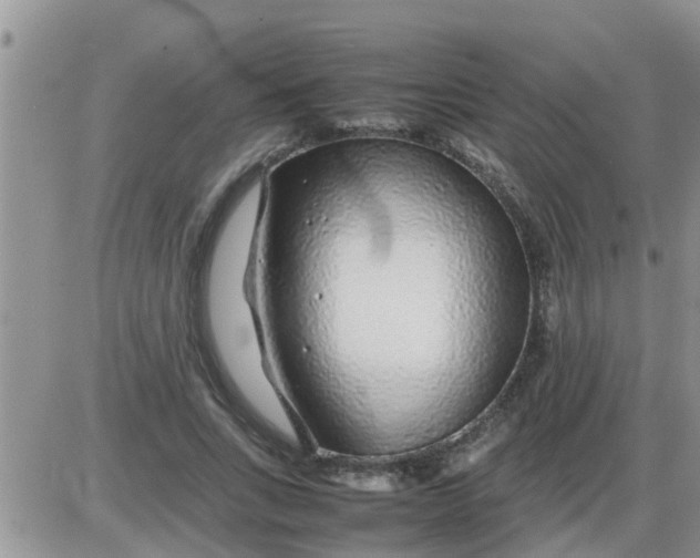 X0000085310735200703231923