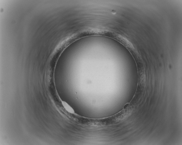 X0000085310736200703231923