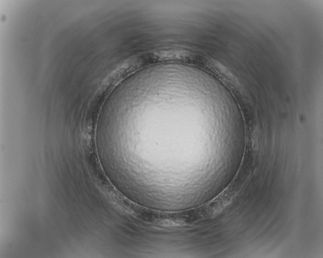 X0000085310737200703231923