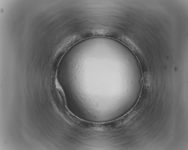 X0000085310738200703231923