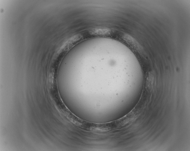 X0000085310739200703231923