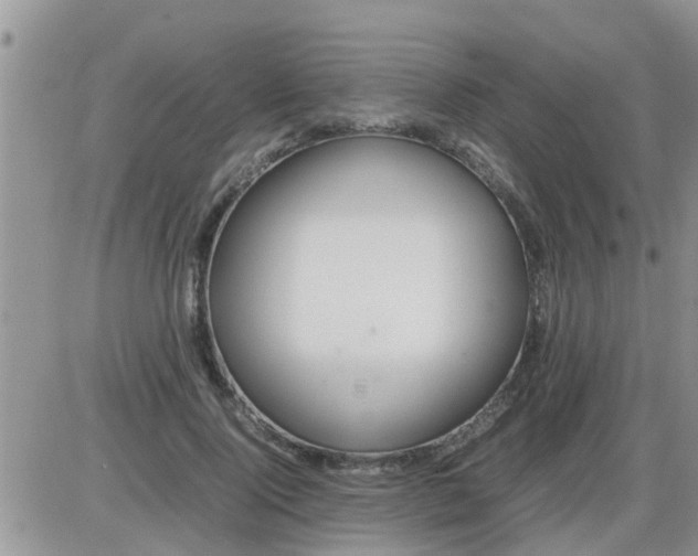 X0000085310740200703231923