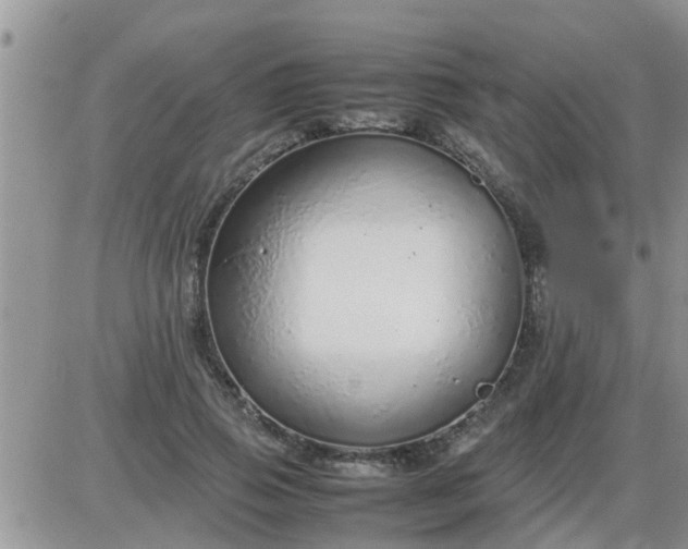 X0000085310741200703231923