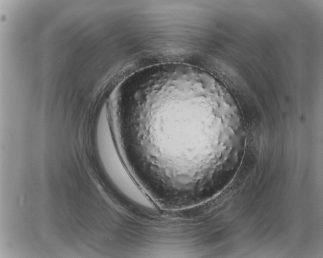 X0000085310742200703231923