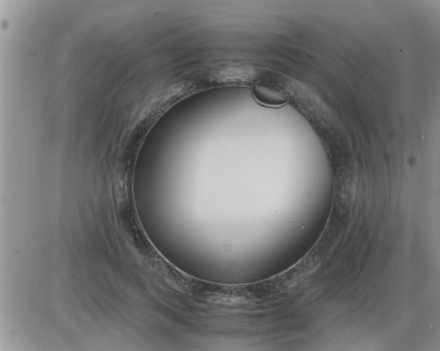 X0000085310743200703231923