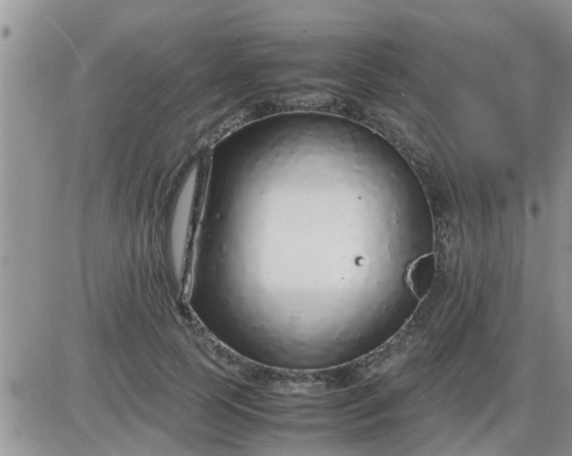 X0000085310745200703231923