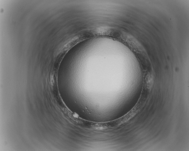 X0000085310746200703231923