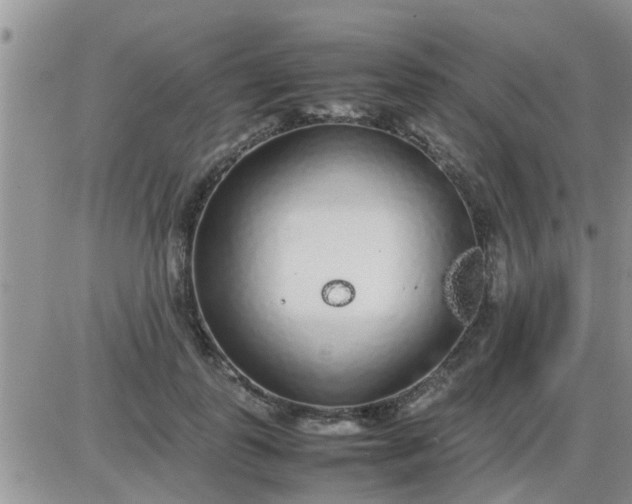 X0000085310747200703231923