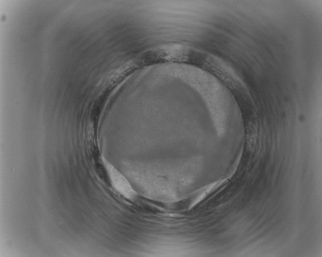 X0000085310748200703231923