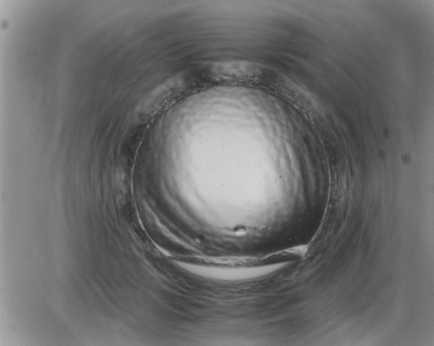 X0000085310749200703231923