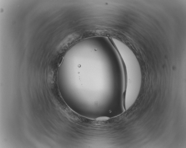 X0000085310750200703231923