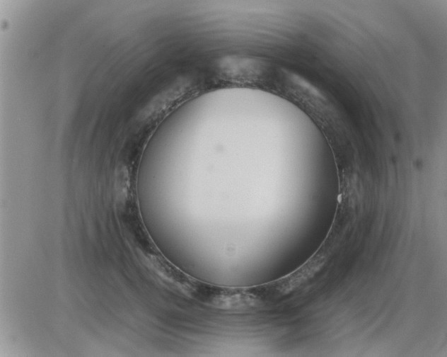 X0000085310752200703231923