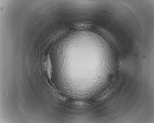 X0000085310753200703231923