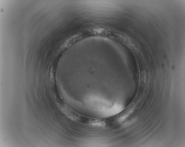 X0000085310754200703231923