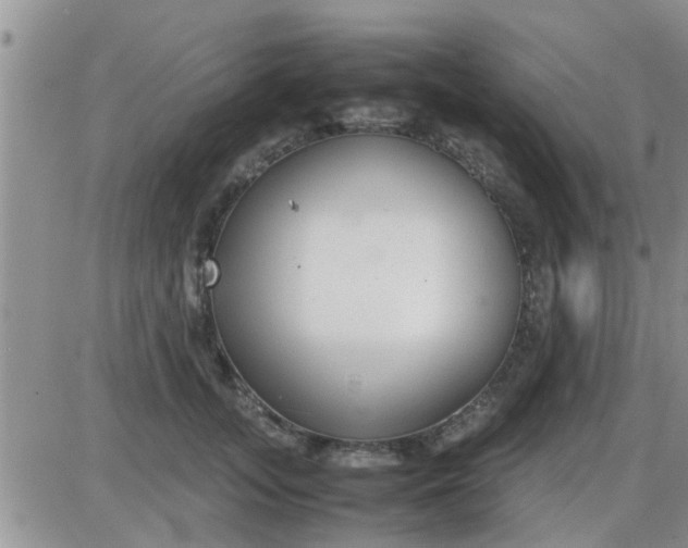 X0000085310755200703231923