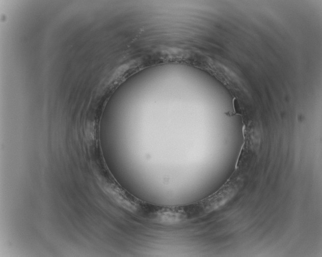 X0000085310756200703231923