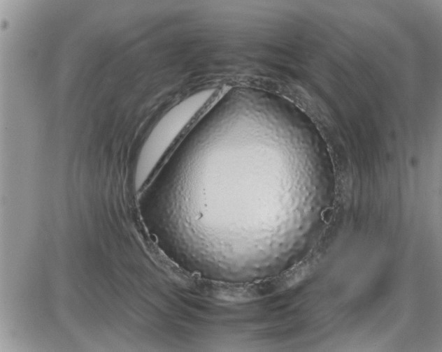 X0000085310757200703231923