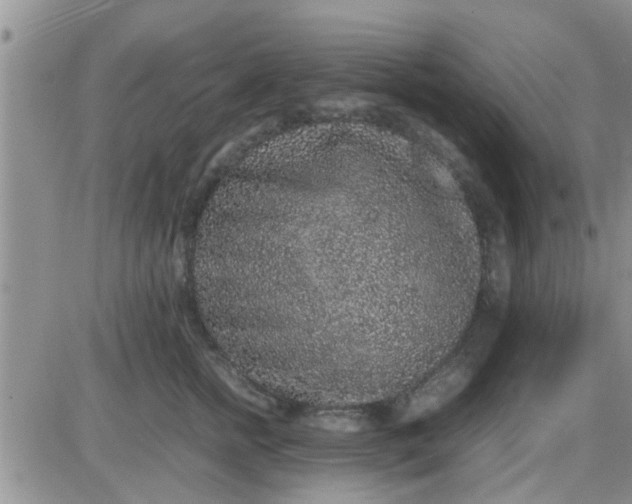 X0000085310758200703231923