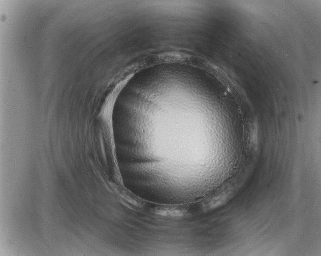 X0000085310759200703231923