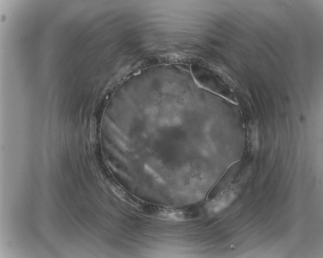 X0000085310760200703231923