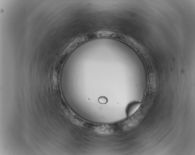 X0000085310761200703231923