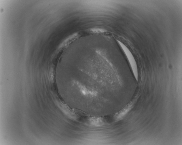 X0000085310762200703231923