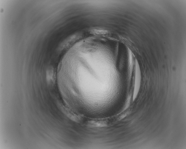 X0000085310763200703231923