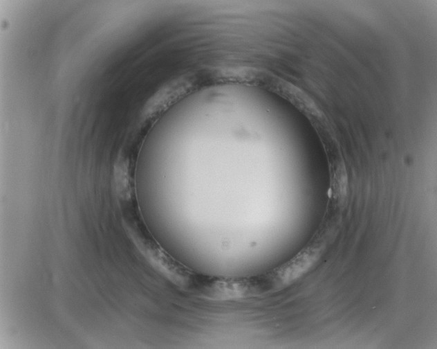 X0000085310764200703231923