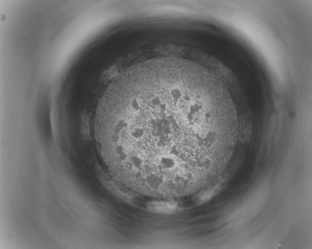 X0000085310765200703231923