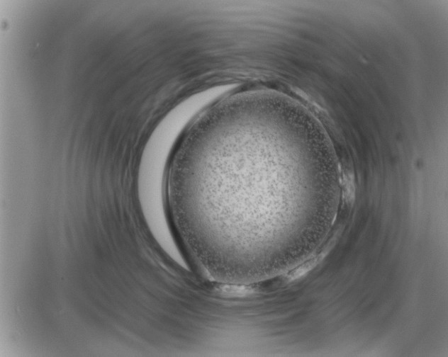 X0000085310766200703231923