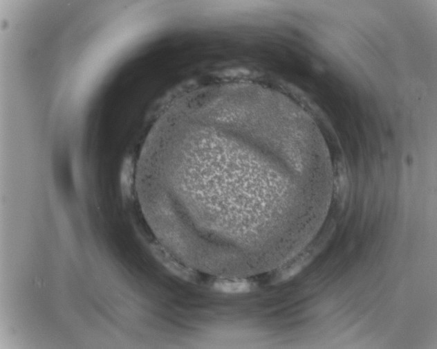 X0000085310767200703231924