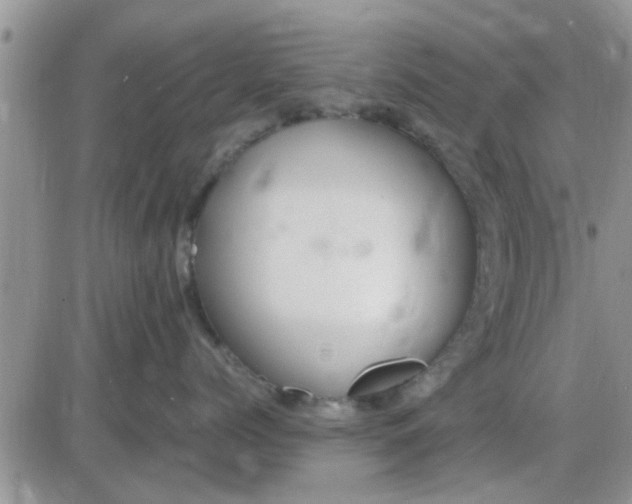 X0000085310768200703231924