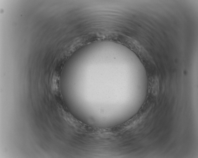 X0000085310770200703231923