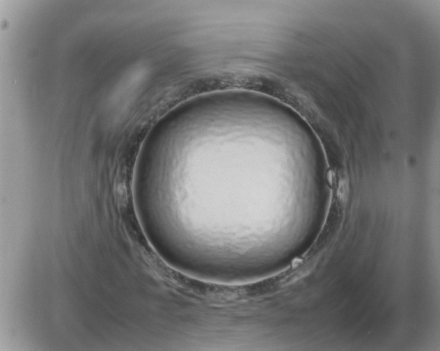 X0000085310771200703231923