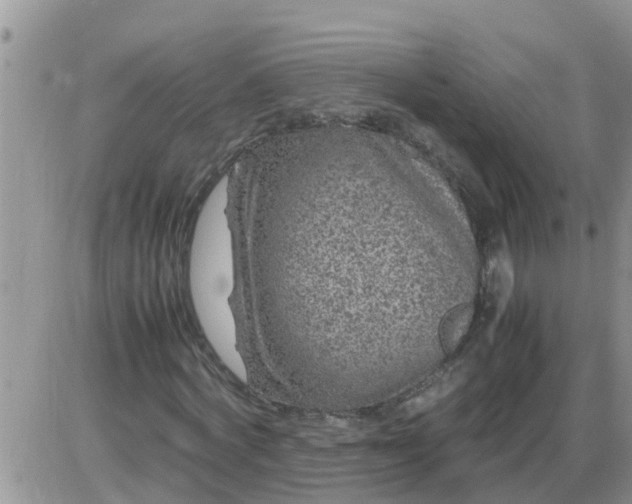 X0000085310772200703231923