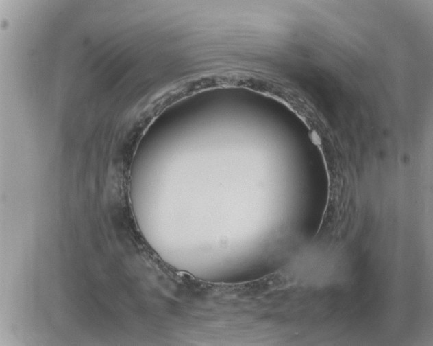 X0000085310773200703231923