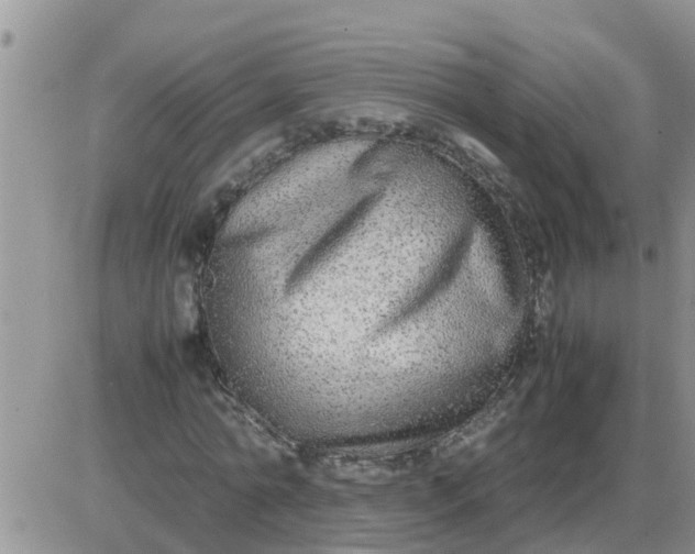 X0000085310774200703231923