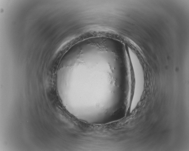 X0000085310775200703231923