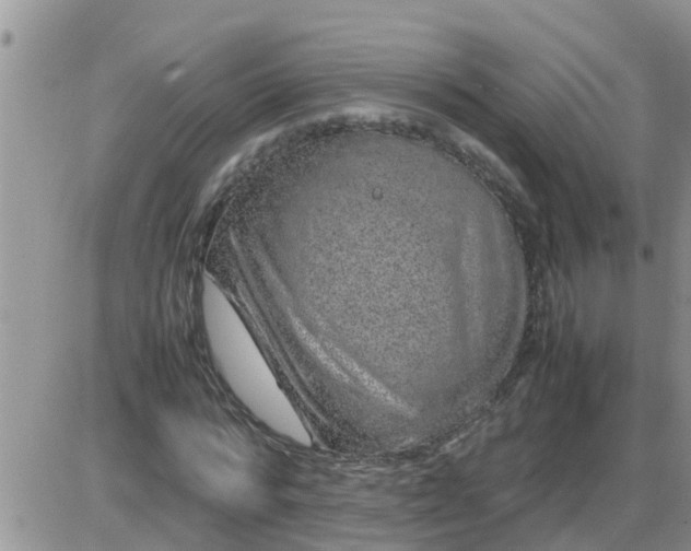 X0000085310776200703231923