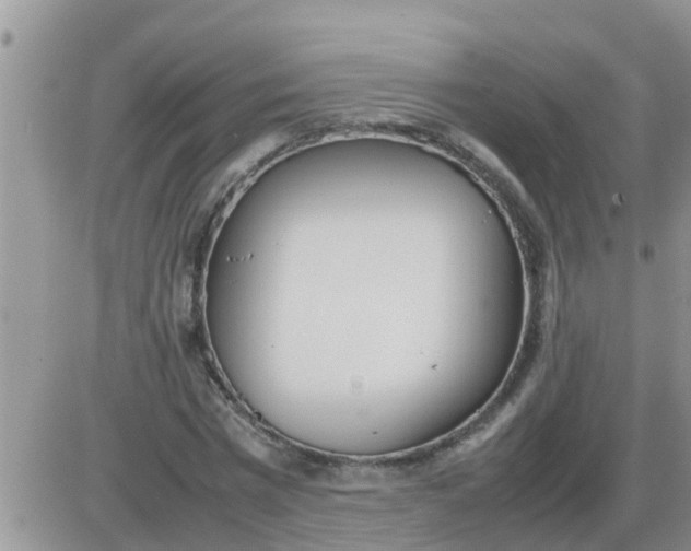 X0000085310777200703231923