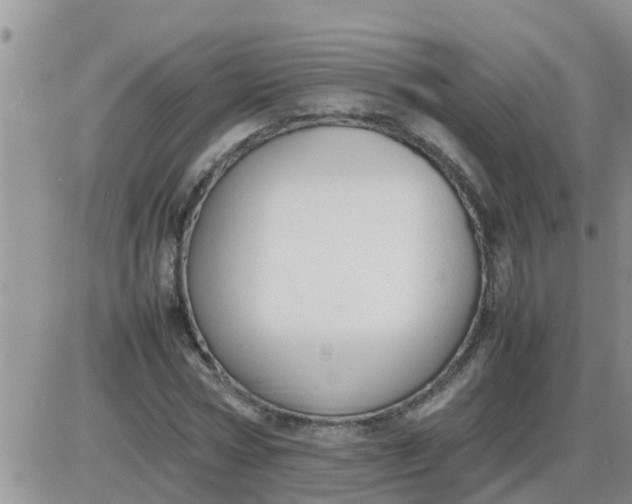 X0000085310778200703231923