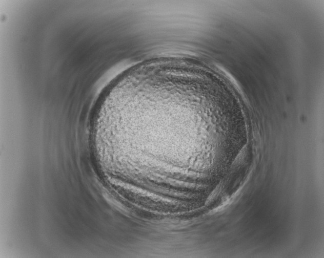 X0000085310779200703231923