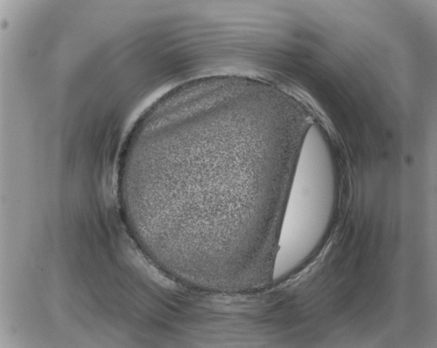 X0000085310780200703231923