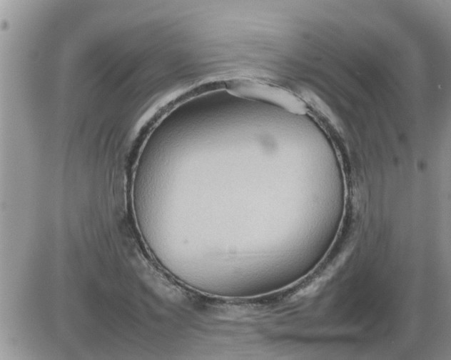 X0000085310781200703231922