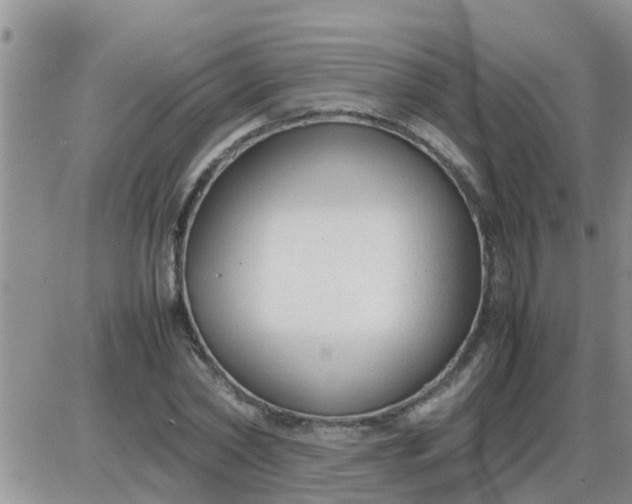 X0000085310782200703231922