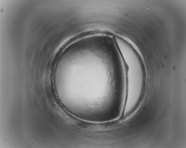 X0000085310783200703231922