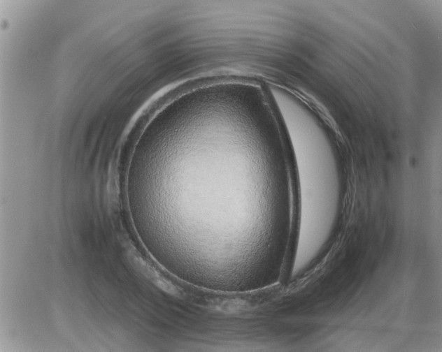 X0000085310784200703231922