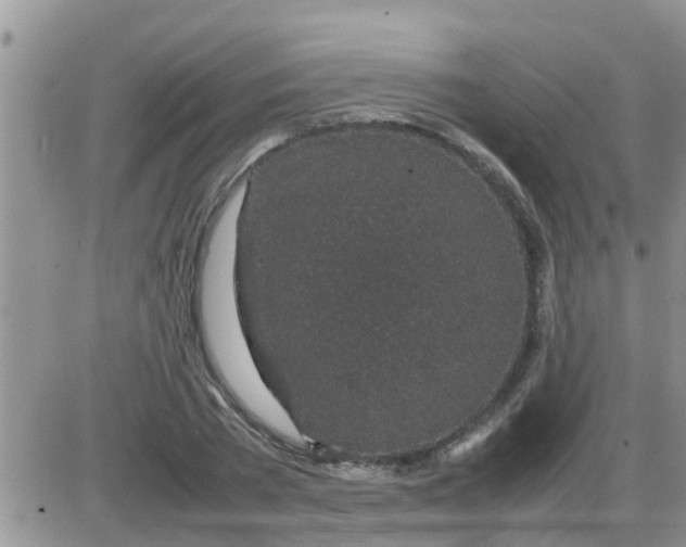 X0000085310785200703231922